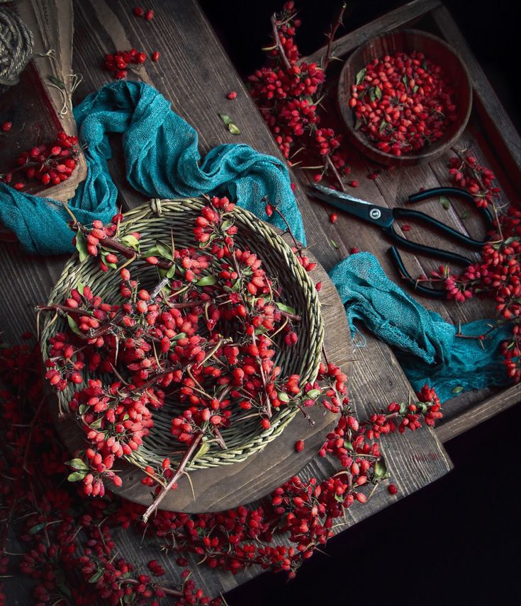 تصویر 4 از قیمت زرشک تالاری بیرجند + انتخابی ممتاز برای صادرات